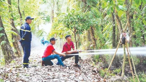 Regular drills involving simulated scenarios help forest management and protection forces in Ca Mau enhance their operational skills for real-life situations.