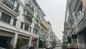 A cluster of adjacent villas in the eastern area of Ha Noi (Photo: HNV)