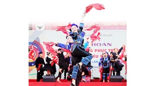 Numerous cultural and artistic activities celebrate the arrival of 2026