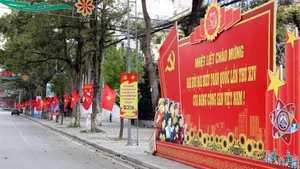 Central streets in localities across the country are adorned with flags and flowers to celebrate the 14th National Party Congress. (Photo: VNA)