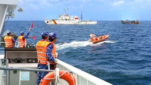 Vessels of the Viet Nam Coast Guard intensify patrols, checks, and control in various sea areas.