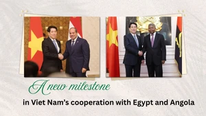 A new milestone in Viet Nam’s cooperation with Egypt and Angola