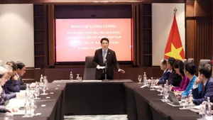 State President Luong Cuong speaks at the working session with Vietnamese Ambassadors to African countries. (Photo: VNA)