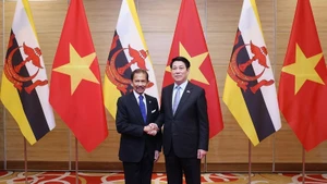 State President Luong Cuong (R) welcomes Sultan of Brunei Haji Hassanal Bolkiah (Photo: VNA)