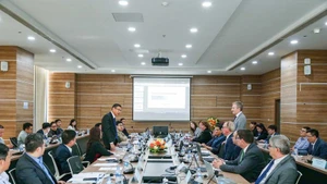 Deputy Minister of Science and Technology Le Xuan Dinh (standing, left) speaks at the working session with INIR Mission in Ha Noi on December 1. (Photo: VNA)