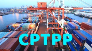 Illustrative image (Photo: VGP)