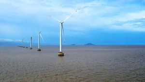 The wind farm has begun generating power along the coastal area of Hiep Thanh Ward, Ca Mau Province.