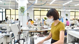 Green digital transformation in 2025 helps Garment 10 reduce about 15,000 - 20,000 tonnes of carbon emissions (Photo: The Dai)