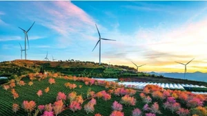 Le Hoang Men (Viet Nam) Green tourism