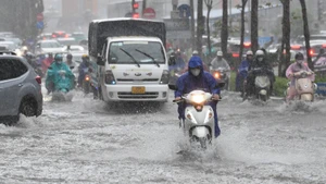 Illustrative image (Photo: THANH DAT)