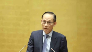 Acting Minister of Foreign Affairs Le Hoai Trung addresses the conference (Photo: VNA)