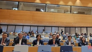 Vietnamese delegates attend the 2023 WIPO General Assembly.