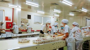 Production activities at Bao Hung International Joint Stock Company, Hung Yen Province.