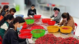 Workers have seen a significant increase in income in recent times. (Photo: HNV)