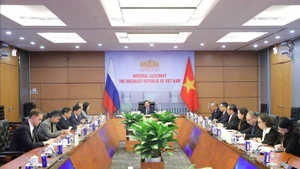 NA Vice Chairman Nguyen Khac Dinh presides over an online meeting between the Viet Nam – Russia Parliamentary Friendship Group of the Vietnamese NA and the Group for Cooperation with the Vietnamese NA of the Russian Federation Council on November 7. (Photo: vietnam.vn)