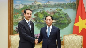 Deputy Prime Minister Bui Thanh Son (right) and Chinese Ambassador to Viet Nam He Wei at their meeting on November 17 (Photo: VNA)