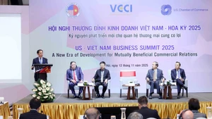 Deputy Prime Minister Bui Thanh Son speaks at the US-Viet Nam Business Summit 2025. (Photo: VNA)