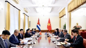 At the political consultation (Photo: VNA)