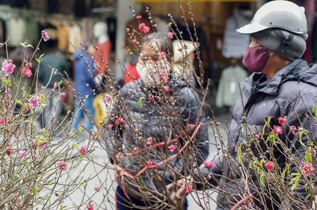 Hanoi Old Quarter a hive of activity as Tet draws near ảnh 10