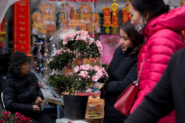 Hanoi Old Quarter a hive of activity as Tet draws near ảnh 12