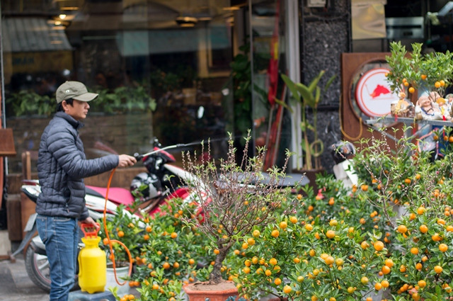 Hanoi Old Quarter a hive of activity as Tet draws near ảnh 11