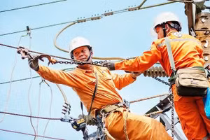 EVNSPC strengthens periodic inspections of transmission lines to ensure electricity supply during the dry season. (Photo: VNA)