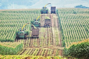 TH Group is a prime example of sustainable investment in high-tech agriculture and the circular economy.