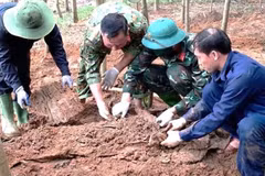 Political Division under the Quang Tri Provincial Military Command searches for and retrieves martyrs' remains in Bai Dinh Village, Dan Hoa Commune. (Photo: QS)