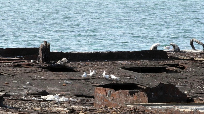 The old pontoon becomes a place for the seagulls to nest. The old pontoon becomes a place for the seagulls to nest.