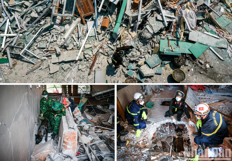 One of the most crucial initial tasks was reconnaissance of the scene and deploying search dogs to locate signs of life or pinpoint the exact positions of those trapped beneath the rubble. One of the most crucial initial tasks was reconnaissance of the scene and deploying search dogs to locate signs of life or pinpoint the exact positions of those trapped beneath the rubble.