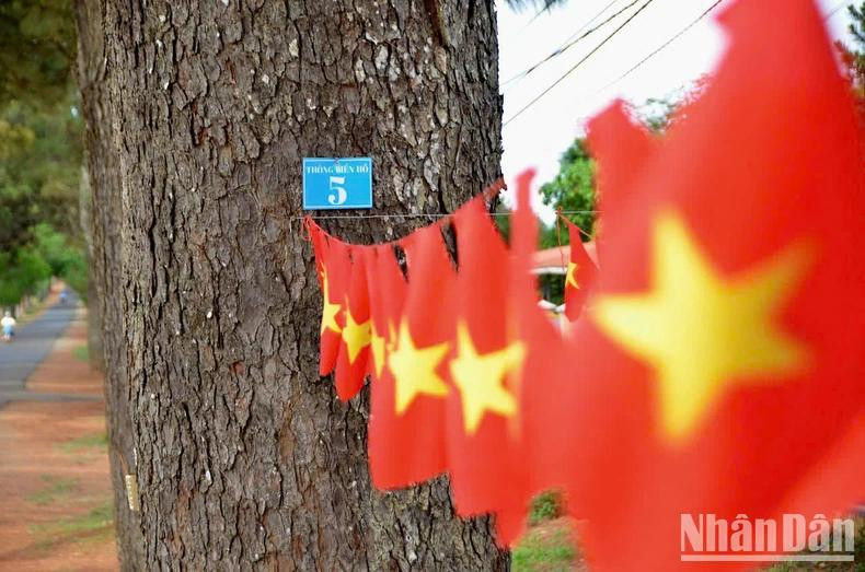 Each tree is numbered for easier "health" monitoring.