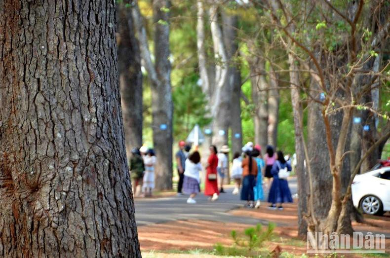 Visitors from far and wide enjoy the photo-taking experience.