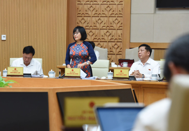 Deputy Minister of Justice Dang Hoang Oanh delivers remarks at the meeting.