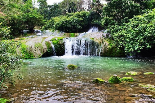 Mo Mam stream is a famous tourist attraction of Bac Son district.