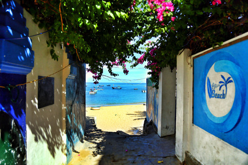 Bai Xep is nestled under green coconut trees, with its narrow and colourful alleys (Photo: VnExpress)