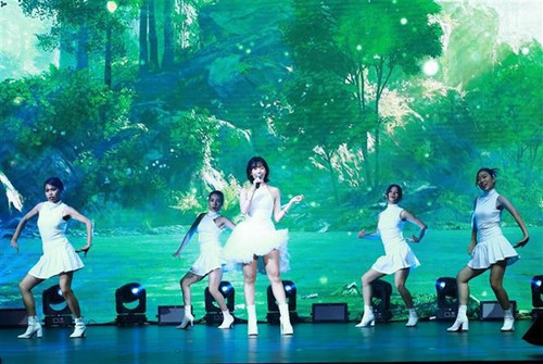 A performance at the music gala (Photo: VNA)