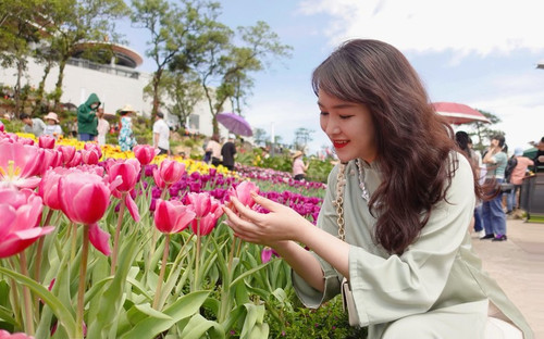 The carpet of tulips is at its most beautiful on the top of Ba Den Mountain.