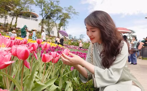 The carpet of tulips is at its most beautiful on the top of Ba Den Mountain.