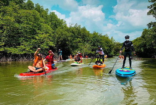 Sports lovers can take part in SUP rowing, catching snails and crabs, and fishing activities in the nearby Sac Forest (Photo: VnEpxress)