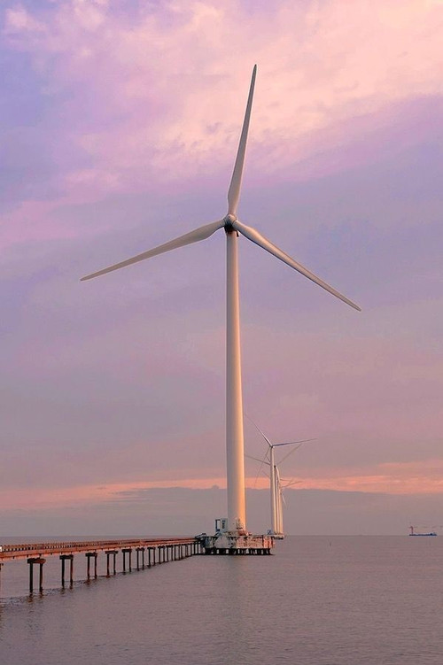 Each wind turbine stands up to 80 meters tall with propellers 42 meters long Each wind turbine stands up to 80 meters tall with propellers 42 meters long