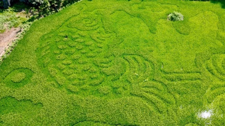 Close-up of the rice plant artwork. Close-up of the rice plant artwork.