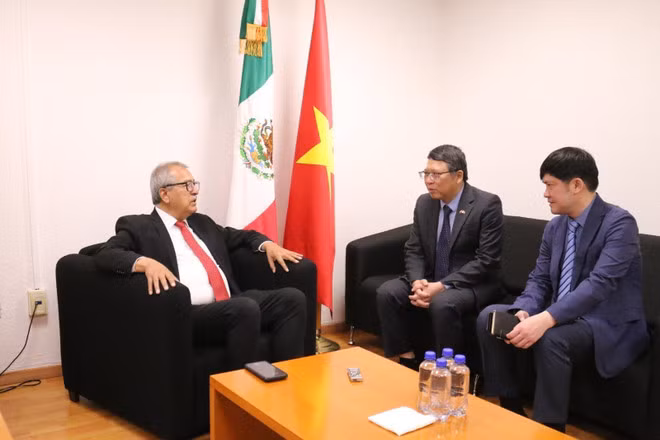 There is still much potential for Mexico and Vietnam further development, according to Pedro Vázquez González, Chairman of the Foreign Affairs Committee of the Chamber of Deputies of Mexico. (Photo: VNA) There is still much potential for Mexico and Vietnam further development, according to Pedro Vázquez González, Chairman of the Foreign Affairs Committee of the Chamber of Deputies of Mexico. (Photo: VNA)