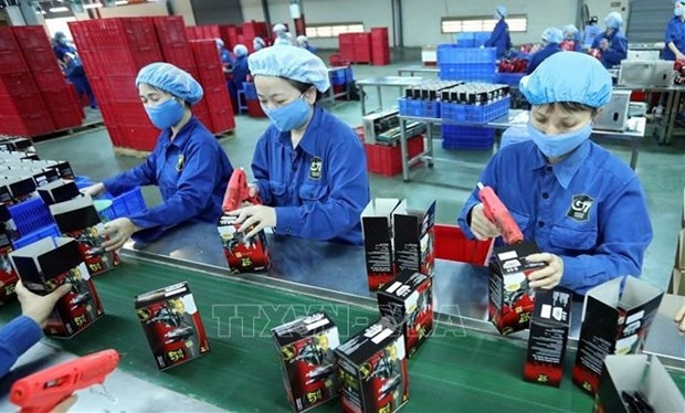 The census will cover enterprises across most sectors in the Vietnamese economy. (Illustrative photo: VNA)
