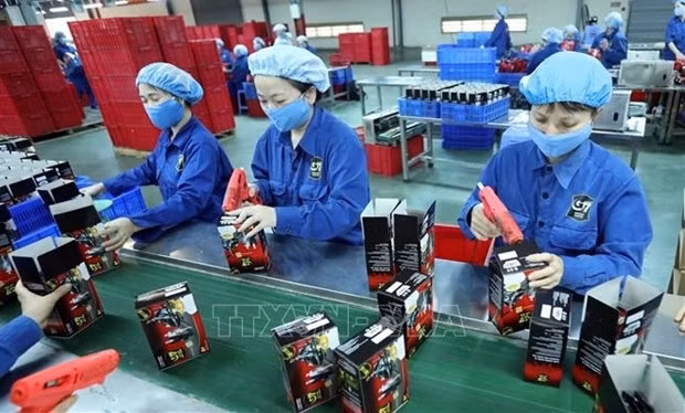 The census will cover enterprises across most sectors in the Vietnamese economy. (Illustrative photo: VNA)