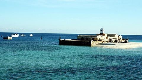 The centre on Da Tay Island (Credit: Dang Giang)