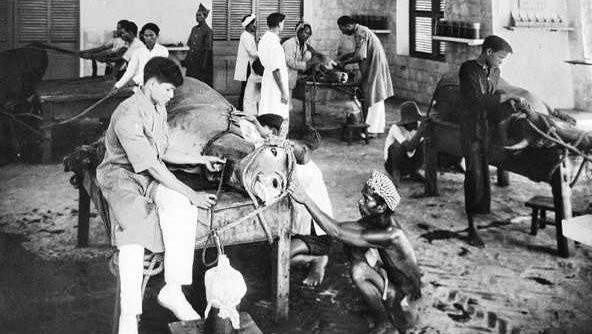 A historic photo of his medical work by Alexandre Yersin. (Photo courtesy of the Pasteur Institute of Nha Trang)