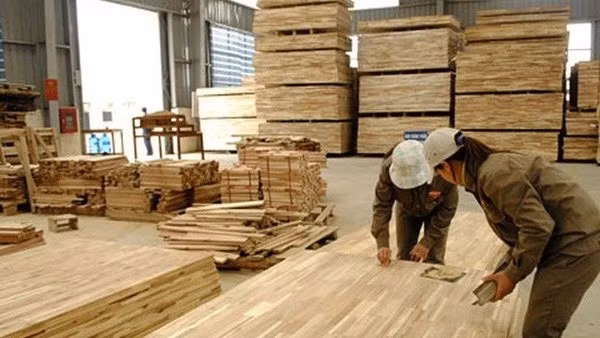 Illustrative image (Source: hanoimoi.com.vn)