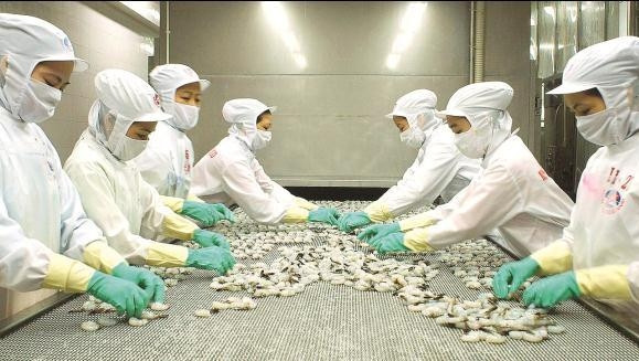 In 2018, the export turnover of aquatic products hit US$9 billion. (Photo: Bao Hai quan)