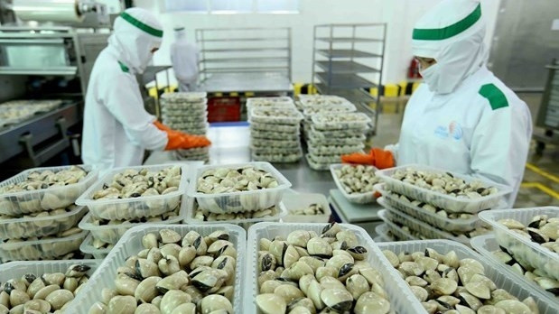European companies are more positive and optimistic about Vietnam’s trade and investment environment. (Photo: VNA)