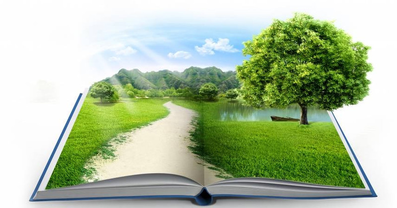 The environmental issue is currently the number one global challenge.